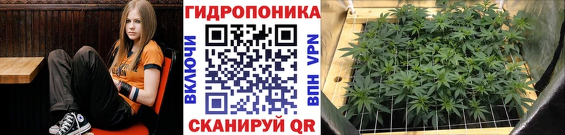 Марихуана индика  Купить закладки  Пыть-Ях 